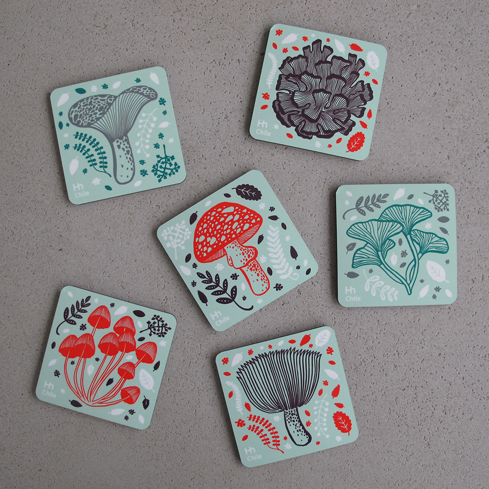 SET 6 POSAVASOS REINO FUNGI